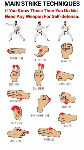 MAIN STRIKE TECHNIQUES #karate #strike #karatesir786