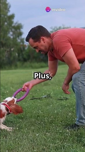 Why Dogs Are Man's Best Friend!