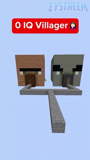 Which House Will the Villager Choose in Minecraft?