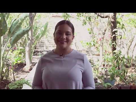 010 Extractos de Vegetales