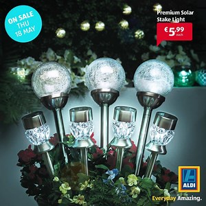 20K views · 165 reactions | Let the sun work its magic and light up your garden even when it’s dark with these Solar Panel lights! #AldiSpecialBuys   | Aldi Ireland | Facebook