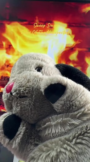 Sweep's Musical Tribute to Tales of the Unexpected