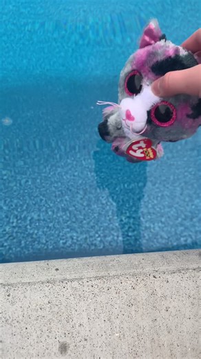 DONT SPAM LIKE on TikTok