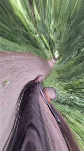 La mauvaise surprise !!! #chevaux #horse #life #equestrian #rain #poney