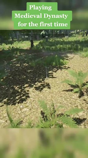 Buffalo vs Bison: A Deadly Encounter in Medieval Dynasty Gaming