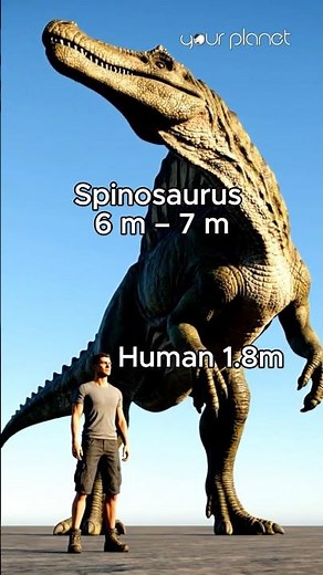 How large were dinosaurs relative to humans? | Your Planet #naturedocumentary