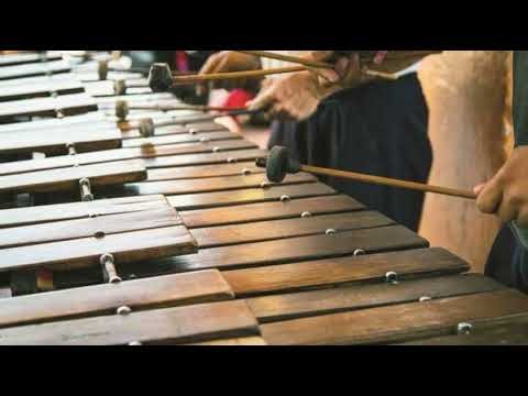 FOOL'S GARDEN - Lemon Tree 2026 (MARIMBA Mix)