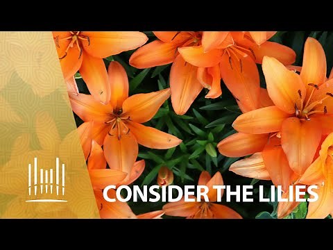 Consider the Lilies, with Orchestra (2012) | The Tabernacle Choir