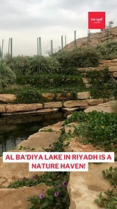 Ba'diya lake is truly a hidden gem that EVERYONE should visit! This is the sign to put this site on maps and head over ASAP 😍 📸 r_uqll/TikTok #lovinriyadh | Lovin Riyadh