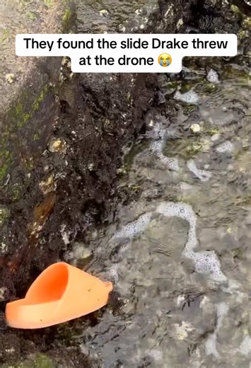 Drake's Drone Incident: The Shoe Throwing Moment