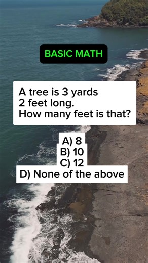 Understanding Basic Math Concepts