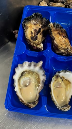 Michael's Seafood on Reels