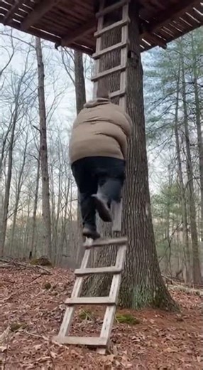 TREEHOUSE COLLAPSES While Tourists Climb! 😱 #Caught #Viral #Disaster
