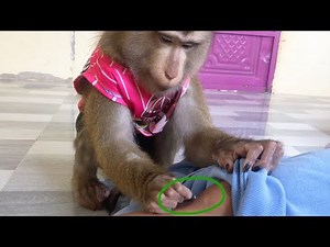 Jason Enhanced Hand Grooming To Remove Skin Cell From Dry Wound On Leg