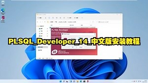 PLSQL_Developer_14_中文版安装教程