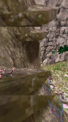 I’m not real pig on TikTok