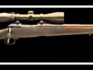 Savage 11111 FCNS .243 Winchester Rifle Best Guns