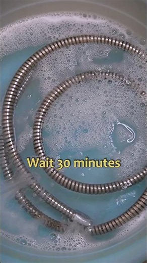 How to Easily Clean Bathroom shower hose mold ?