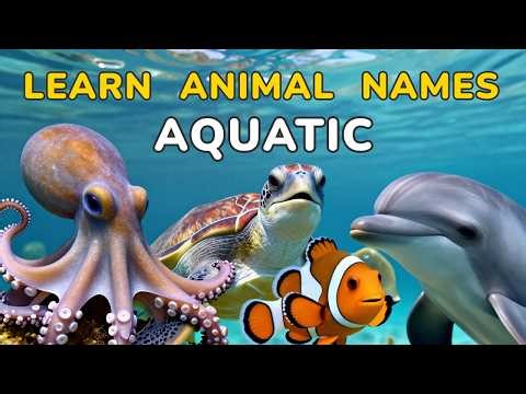 Learn Aquatic Animals for Kids, Preschoolers, Toddlers, Babies - with animal toys and real animals