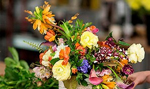 Remove small objects from a photo