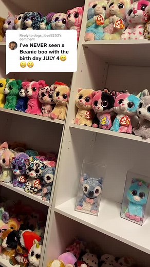 Discovering the Magic of Beanie Boos