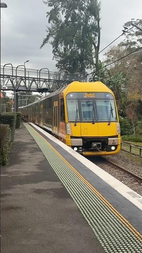 A Set 63 Waratah Sydney Passenger Train Arriving at Wahroonga NSW Australia #sydneytrains #vblog