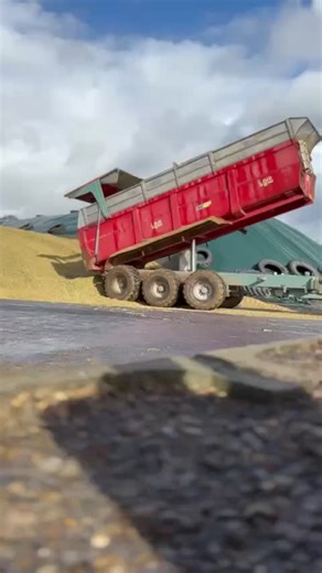 Maïs et Agriculture: Passion Ensilage