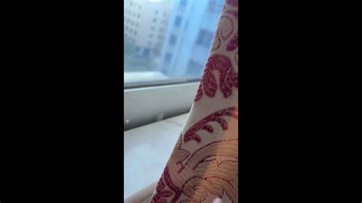 Cat doing window chattering in Guangdong, China