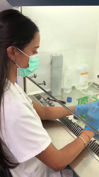 🔴⚪️¿Sabes como separamos en el laboratorio los glóbulos rojos de los glóbulos blancos? 🔴⚪️Para ellos utilizamos la centrifugación de gradiente de densidad (también conocida como Ficoll-Paque) que es el método más común para separar los PBMC (células mononucleares de sangre periférica - que contienen linfocitos y monocitos) de los glóbulos rojos (RBC, eritrocitos). En función de la diferente densidad de cada población de células sanguíneas, pueden separarse mediante una centrifugación de un sol