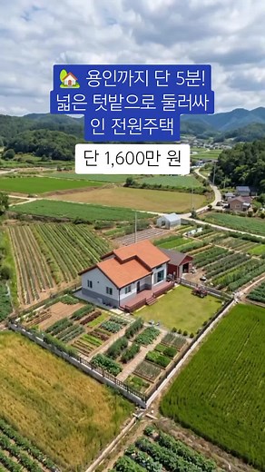 용인까지 5분 전원주택 — 텃밭·과수원 포함, 단 1,600만 원