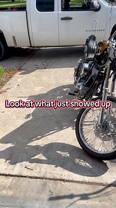 Fully rebuilt shovelhead motor. #motorcycle #harleydavidson #shovelhead #panhead #biketok #biker #reels #vintageharleydavidson #choppers #bikelife #sportster #fyp #choppershit #fyppppppppppppppppppppppp #chopperlife #harleylife #bluecollar #foryoupage #fypシ゚viral #reelsfbシ #reelsfacebook #reelschallenge #motorcyclesofinstagram | 843chops