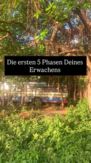 Nervensystem Regulation | Bewusstsein | Partnerschaft on Instagram: "1. Schock / Desillusionierung Das Erkennen, dass vieles konditioniert, verzerrt oder unecht ist. Das bisherige Weltbild bricht zusammen. 2. Wut / Kampfmodus Der Impuls, andere aufzuwecken oder das System zu bekämpfen. Das Nervensystem ist aktiviert, nicht integriert. 3. Angst / Rückzug Kontrollbedürfnis, Vorbereitung, „raus aus dem System“. Ein überlastetes Nervensystem sucht Sicherheit. 4. Frieden / Integration Akzeptanz erset