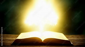 Open book emits light rays forming a luminous tree, symbolizing growth, transformation, and the power of knowledge in harmonious composition