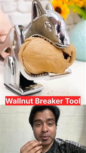 Walnut Breaker Tool 🤩👇#kitchen #youtubeshorts #viralchallenge