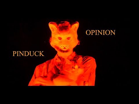 Opinion - Pinduck