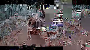 Bobby and Crystal Wintle, owners of District Bicycles in Stillwater, Oklahoma built it, and the riders came. Land Run 100 is more than a gravel race; it's an answer to any cyclist's question about why they love to ride. | Salsa Cycles