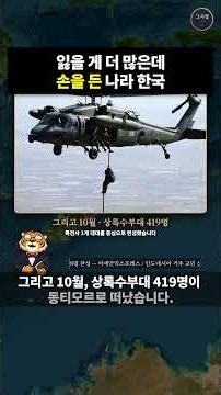 잃을 게 더 많은데 손을 든 나라 한국. 동티모르 상록수부대 파병과 6.25 때 받은 도움을 갚은 이야기