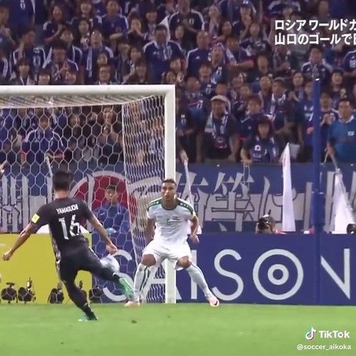 日本代表のスーパーゴール集