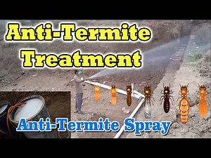 How to do Anti-Termite Treatment | Anti Termite Spray