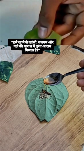 Bhojan Bhog on Instagram: "“Pan mein ajwain, laung aur shahad mila kar khane se khansi, balgam aur gale ki kharash mein rahat mil sakti hai 🤧🍯 Ye purana gharelu nuskha gale ko soothe karta hai aur cough ko dheere-dheere kam karta hai. Raat ko sone se pehle lene par zyada fayda milta hai. Natural tarike se immunity bhi strong hoti hai 💪✨” ⚠️ Note: Zyada problem ho to doctor se salah zaroor lein.#KhansiKaIlaj #BalgamKaDesiNuskha #HomeRemedy #DesiNuskhe #AjwainLaung ShahadKeFayde @bhojjan_bhogg 