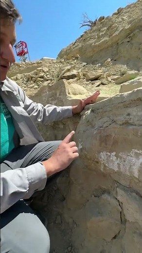 Dinosaur Dig Update with Dr. Joe