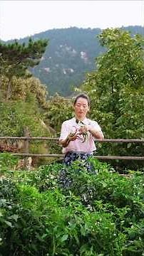 Organic Chive Sauce | Traditional Homemade Recipe