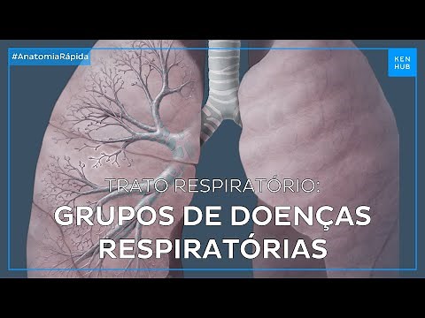 Trato respiratório: Grupos de doenças respiratórias - Anatomia Fácil | Kenhub