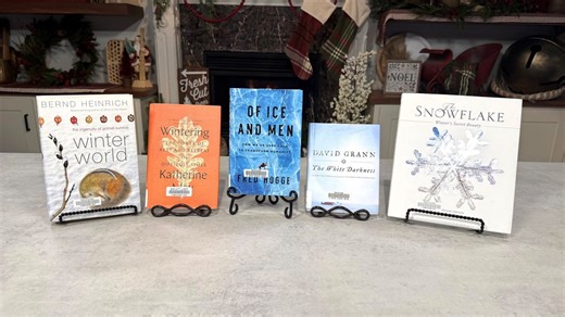 Uncover the magic of winter with these captivating reads from Brown County Library
