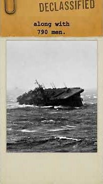 The Cruiser That Faced Halsey’s Typhoon, USS Biloxi | #ww2 #history #fyp