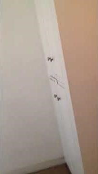 Scaring the towel off Jackie