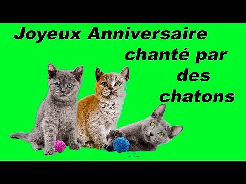 Joyeux Anniversaire chanté par des chats