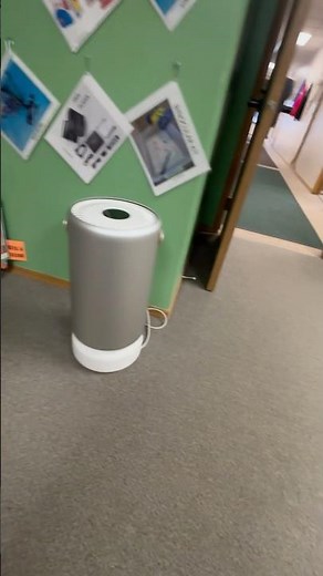 Library DVDs at Palmer Alaska Library 11/4 Part 6 #library #palmer