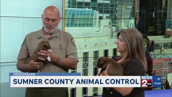 Newsmaker: Sumner County Animal Services