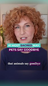 87K views · 2K reactions | I’ve witnessed this sacred behavior in animals at the end of life—and it’s one of the clearest signs from pets we could ever receive. | Danielle MacKinnon | Facebook